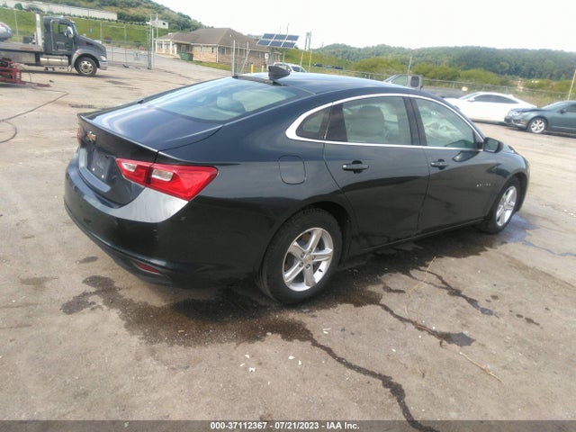 Chevrolet Malibu 1ls 2019 1G1ZB5ST4KF158145 Image 4