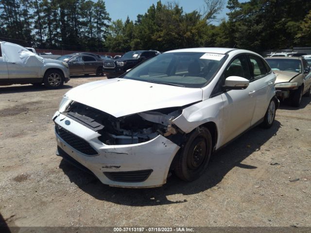 1FADP3F21GL360805 Ford FOCUS SE