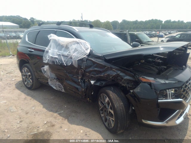 Hyundai Santa Fe Calligraphy 2023 5NMS5DAL3PH527244 Image 6