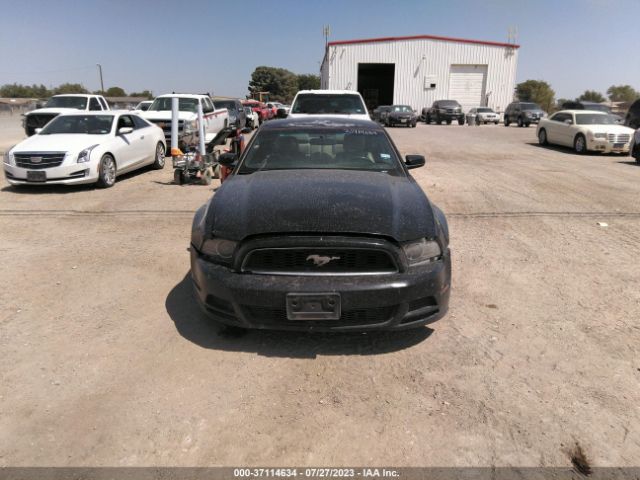 1ZVBP8AM0E5262306 Ford Mustang V6