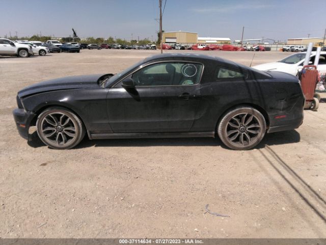 1ZVBP8AM0E5262306 Ford Mustang V6