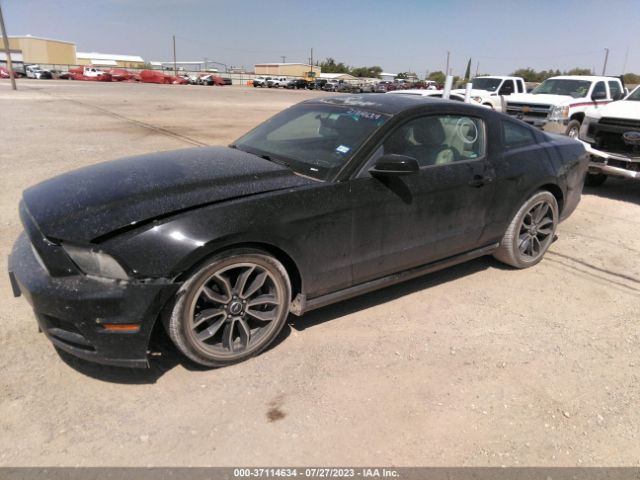 1ZVBP8AM0E5262306 Ford Mustang V6