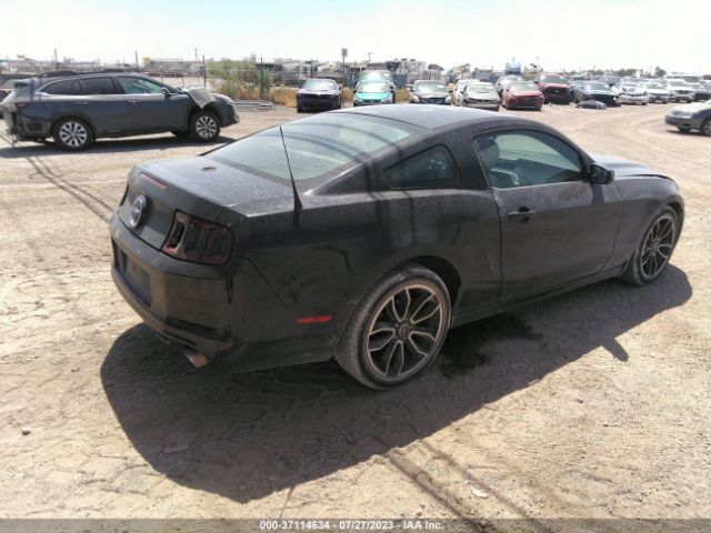 1ZVBP8AM0E5262306 Ford Mustang V6
