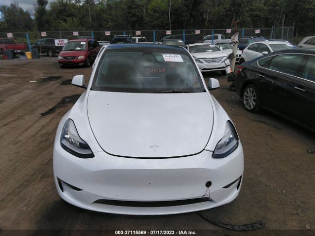 5YJYGDEE5MF153491 Tesla Model Y Long Range