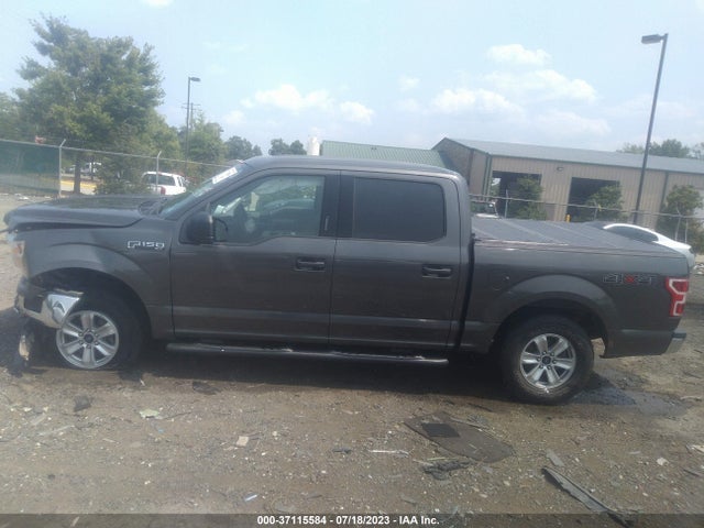 2019 FORD F-150 XLT VIN: 1FTEW1EB3KKE01019