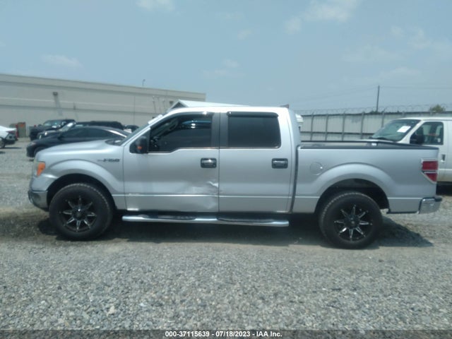 2011 FORD F-150 XL/XLT VIN: 1FTEW1CM4BFD08619