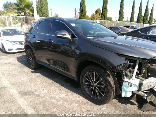 2022 Lexus NX, VIN: 2T2AGCEZ2NC007792