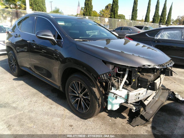 2022 Lexus NX, VIN: 2T2AGCEZ2NC007792