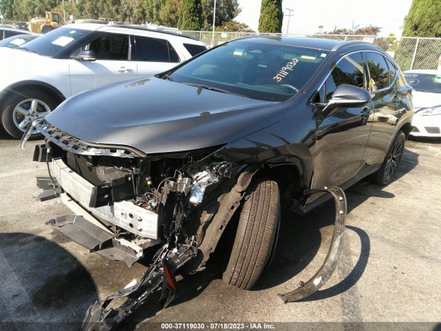 2022 Lexus NX, VIN: 2T2AGCEZ2NC007792