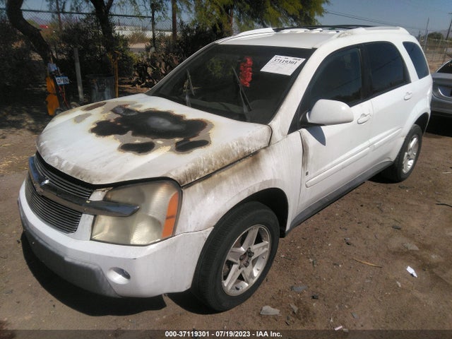 2006 CHEVROLET EQUINOX LT VIN: 2CNDL63F166166664