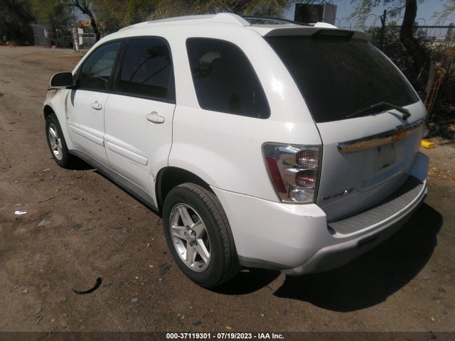 2006 CHEVROLET EQUINOX LT VIN: 2CNDL63F166166664