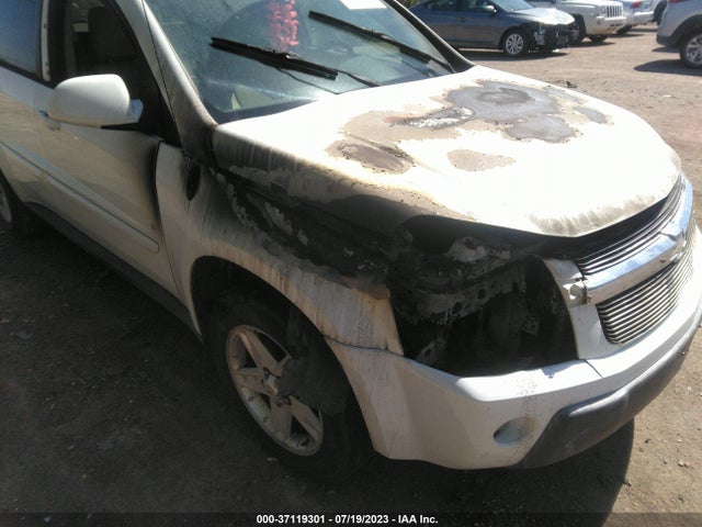2006 CHEVROLET EQUINOX LT VIN: 2CNDL63F166166664