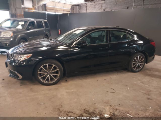 19UUB3F39KA000043 Acura TLX
