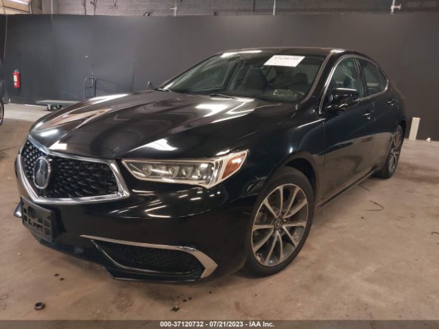 19UUB3F39KA000043 Acura TLX