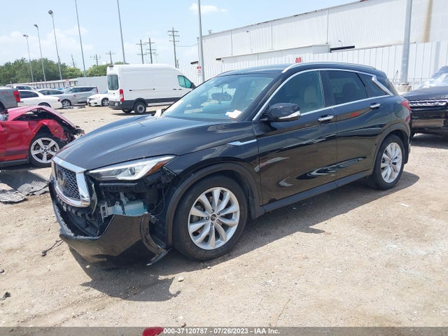 2019 INFINITI QX50 ESSENTIAL VIN: 3PCAJ5M17KF116303