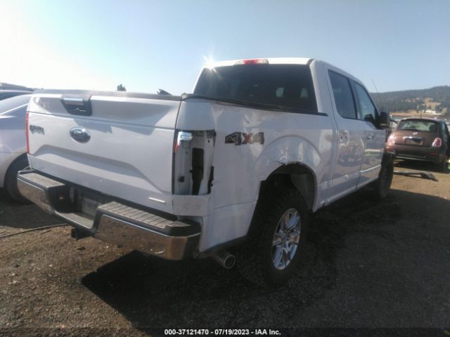 1FTEW1EF0GKF13030 Ford F-150 Xlt/xl/lariat/platinum