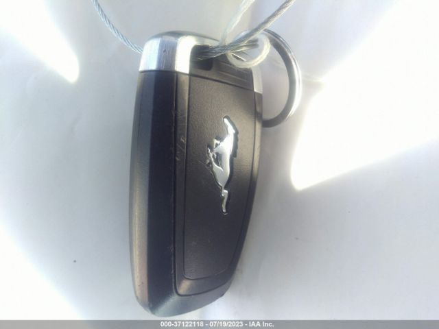 1FA6P8CF6K5162084 Ford MUSTANG GT