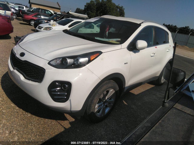 2017 KIA SPORTAGE LX VIN: KNDPMCAC0H7111759