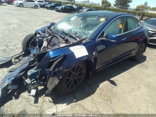 Tesla Model 3 Range 2019 5YJ3E1EA7KF411812 Image 2