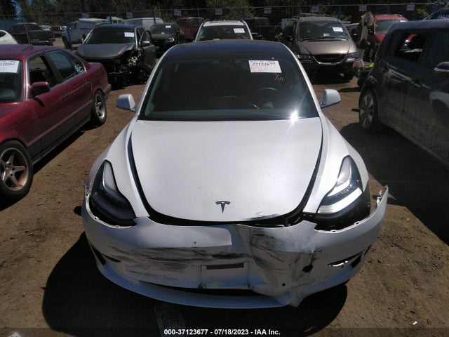 Tesla Model 3 Long Range/performance 2019 5YJ3E1EB6KF388502 Image 3