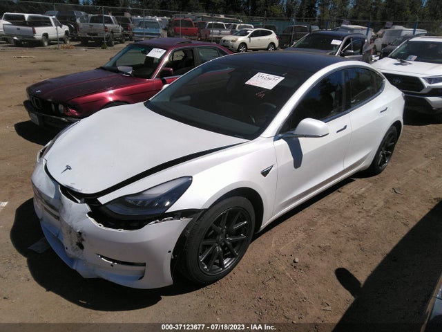 Tesla Model 3 Long Range/performance 2019 5YJ3E1EB6KF388502 Image 2