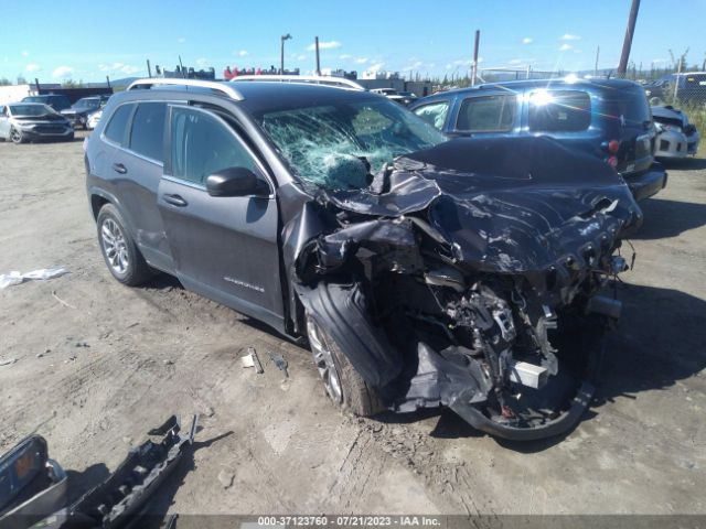 1C4PJMLB4LD514351 auction archive image