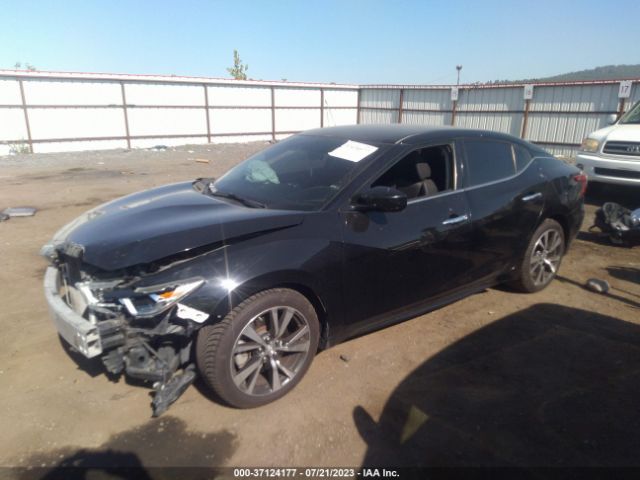 1N4AA6AP2GC439165 Nissan MAXIMA 3.5