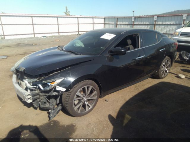1N4AA6AP2GC439165 Nissan MAXIMA 3.5