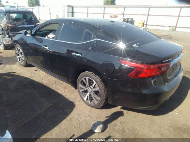 1N4AA6AP2GC439165 Nissan MAXIMA 3.5