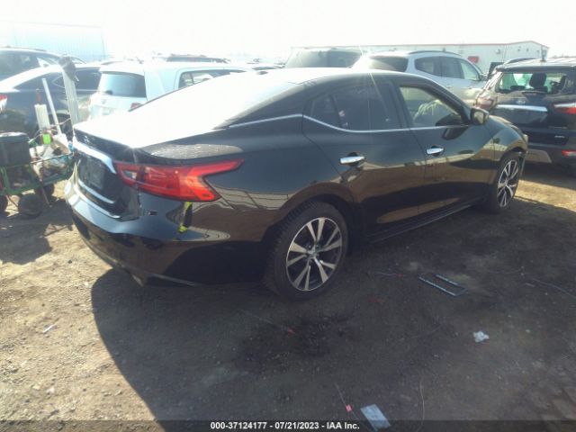 1N4AA6AP2GC439165 Nissan MAXIMA 3.5
