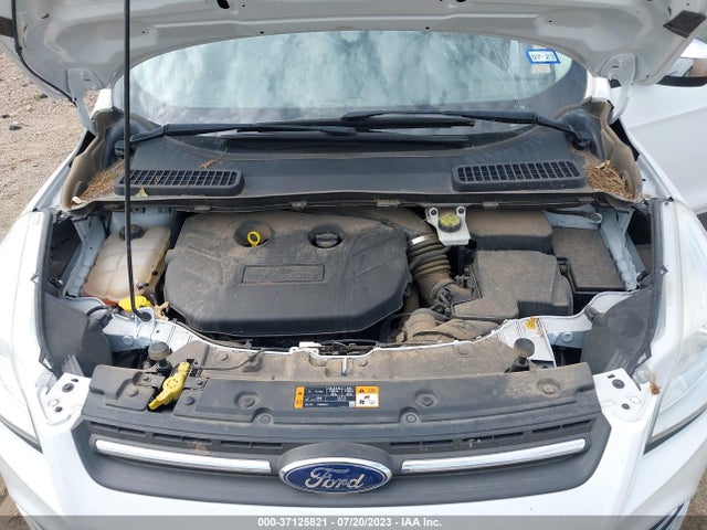 Ford ESCAPE SE 2016 1FMCU0G95GUA09930 Image 10