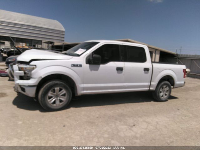 1FTEW1C80HKC33825 Ford F-150 Xlt