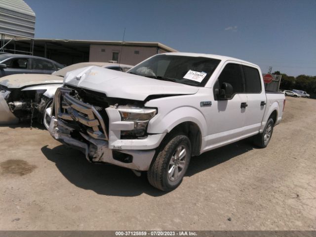 1FTEW1C80HKC33825 Ford F-150 Xlt