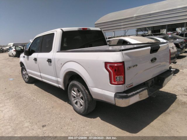 1FTEW1C80HKC33825 Ford F-150 Xlt