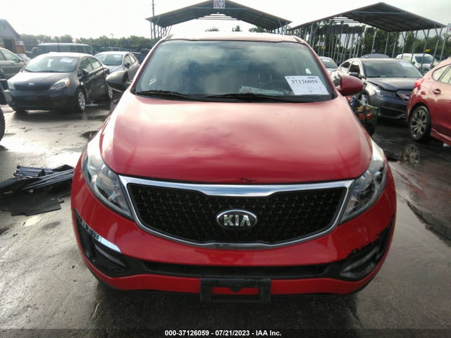 2014 KIA SPORTAGE LX VIN: KNDPBCAC9E7605717