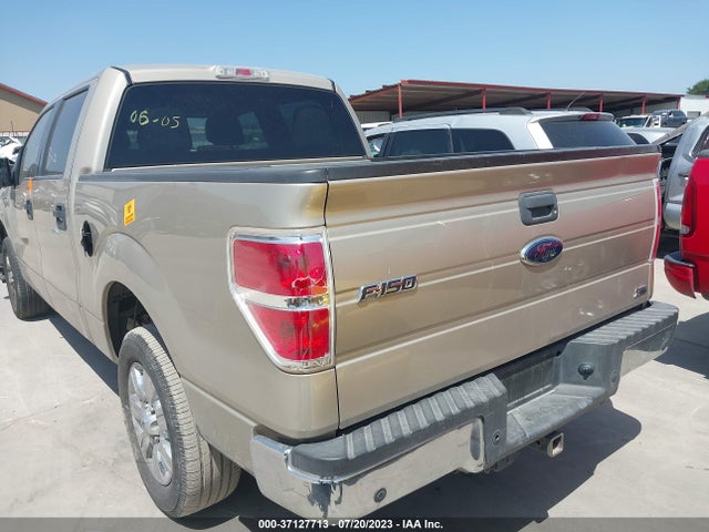 2010 FORD F-150 XL/XLT VIN: 1FTFW1CV8AFC92422