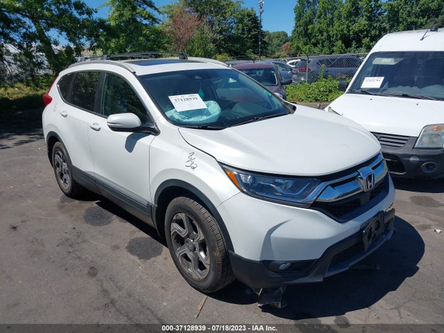 2019 JHLRW2H53KX020645 main image