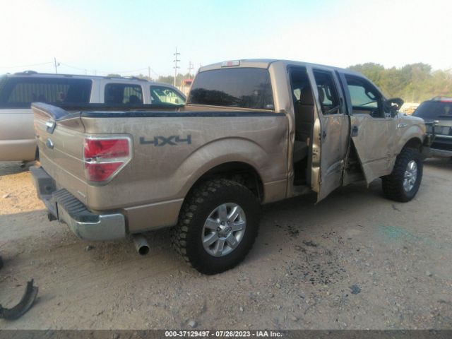 1FTFW1EF3EKD97680 Ford F-150 Xl/xlt/stx/fx4/lariat