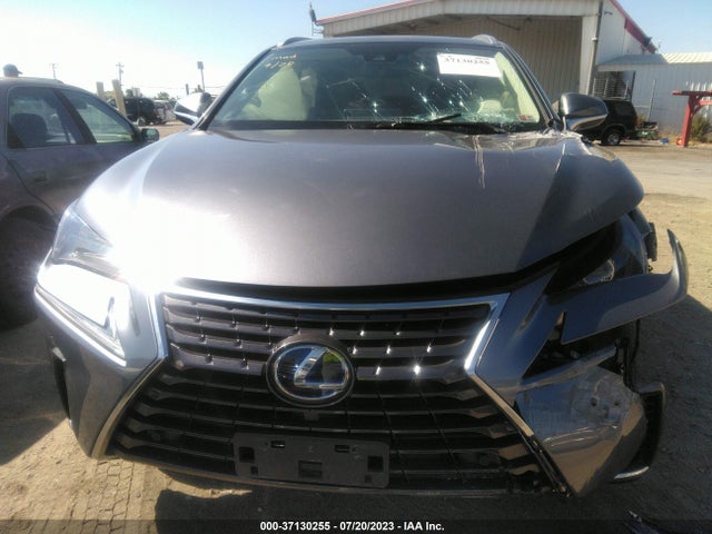 2021 Lexus NX, VIN: JTJGJRDZ2M2151065