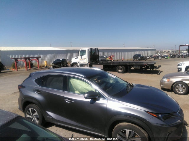2021 Lexus NX, VIN: JTJGJRDZ2M2151065