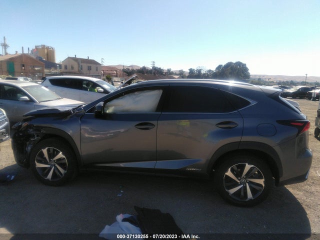 2021 Lexus NX, VIN: JTJGJRDZ2M2151065