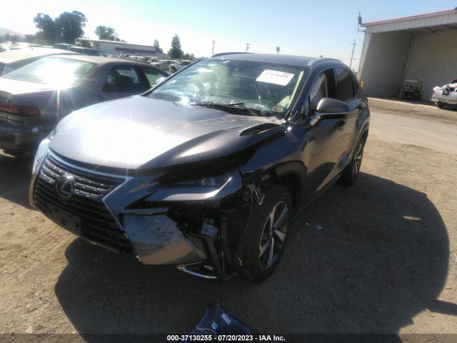 2021 Lexus NX, VIN: JTJGJRDZ2M2151065