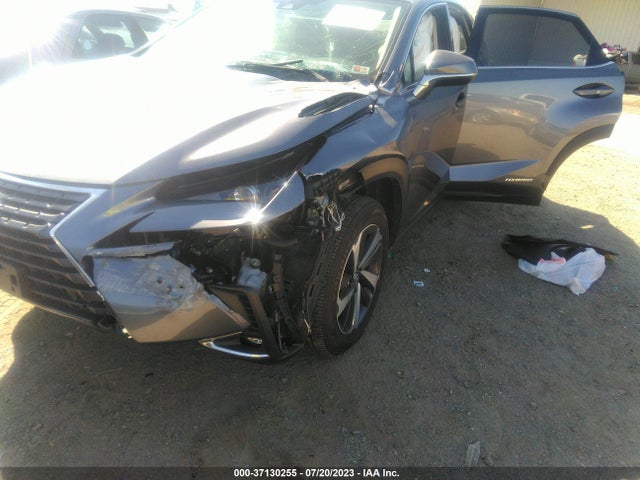 2021 Lexus NX, VIN: JTJGJRDZ2M2151065