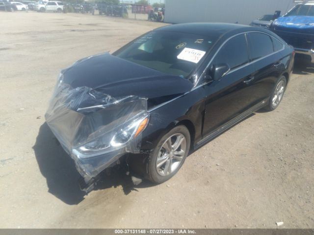 5NPE34AF6JH716221 Hyundai Sonata Sport+