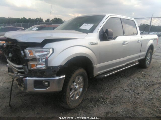 1FTFW1EF3FFB37385 Ford F-150 Xlt W