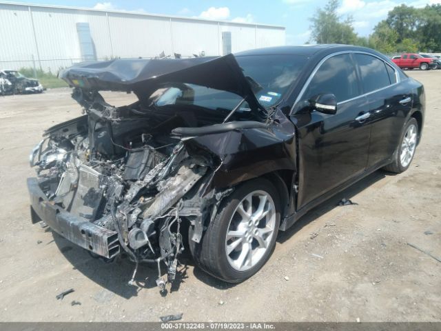 1N4AA5AP4EC443113 Nissan Maxima 3.5 Sv