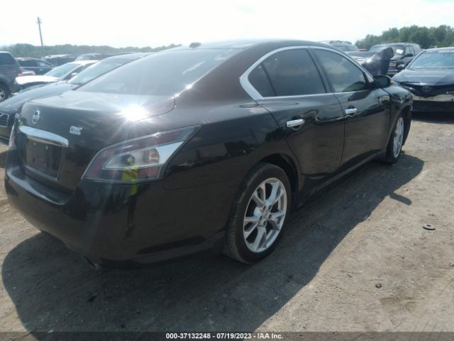 1N4AA5AP4EC443113 Nissan Maxima 3.5 Sv