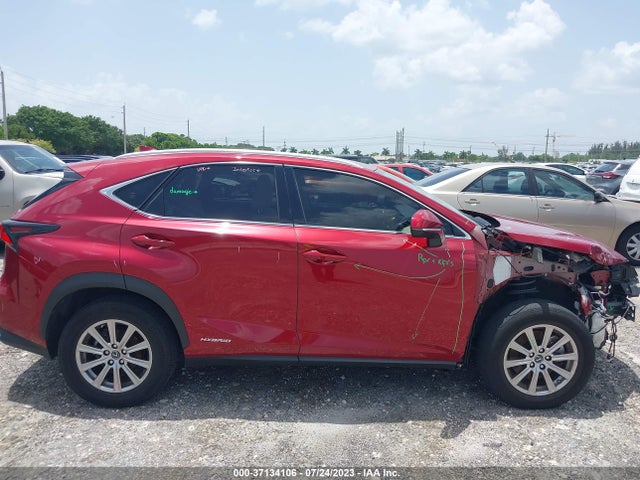 2020 Lexus NX, VIN: JTJDJRDZ9L5003589