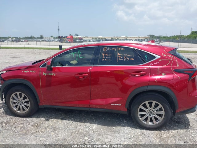 2020 Lexus NX, VIN: JTJDJRDZ9L5003589