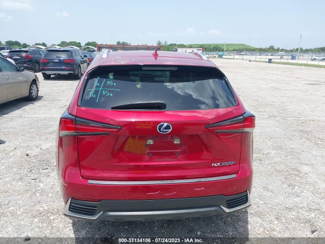 2020 Lexus NX, VIN: JTJDJRDZ9L5003589
